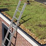 Dakgrind 16-32 mm 20kg riviersplit