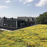 Groendak Traditioneel