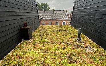 Groendak Utrecht