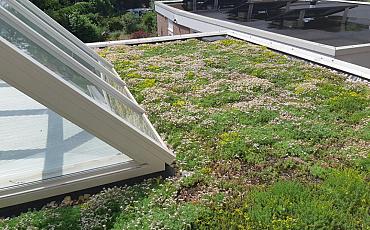 Interpolis: van Glashelder naar Groene daken