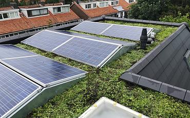 Groen dak met zonnepanelen? Doen! 