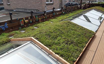 ijmuiden 2
