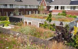 buurt vergoeners