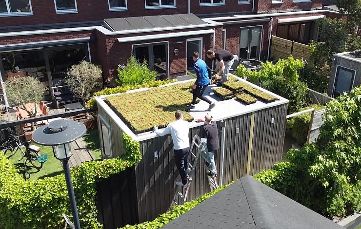 Groene daken de Woerd