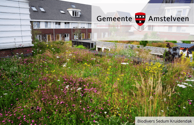 gemeente amstelveen 1