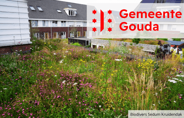 gemeente gouda 1 