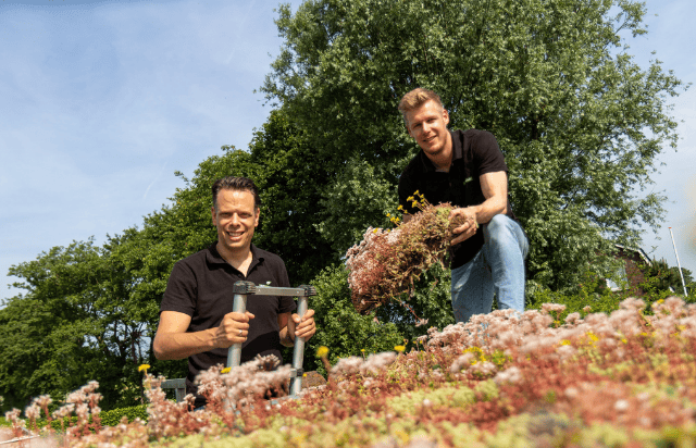 sfeerbeeld   buurtvergroeners 1 