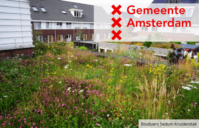 subsidie groendaken amsterdam