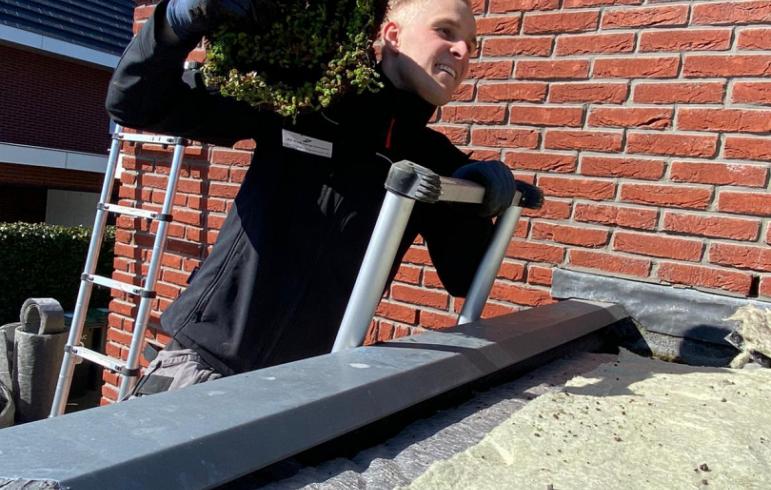 Nadelen groendak: waarom die heel erg meevallen!