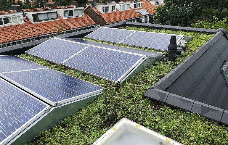 Groen dak met zonnepanelen? Doen! 