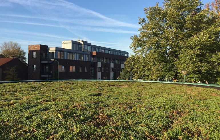 Sedumdak isolatiewaarde: het reduceren en reguleren van warmte en geluid
