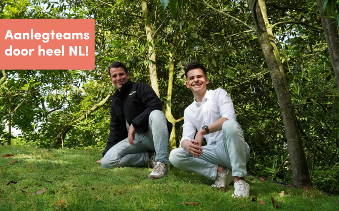 De Dakvergroeners